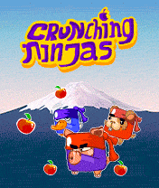 Crunching Ninjas