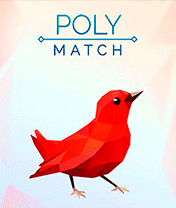 Poly Match