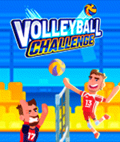 Volleyball Challenge Volleyball Challenge