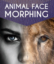 Animal Face Morphing Animal Face Morphing