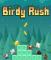 عرض معاينة أكبر لـ Birdy Rush