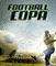 View larger preview of Football Copa