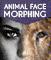 View larger preview of Animal Face Morphing